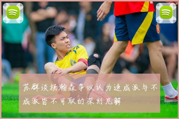 苏群谈杨瀚森争议认为速成派与不成派皆不可取的深刻见解