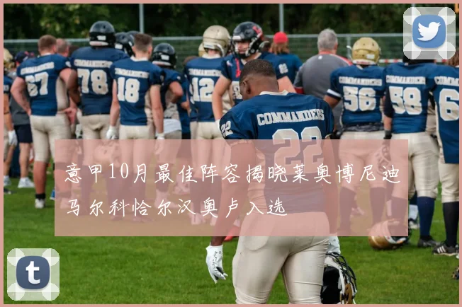 意甲10月最佳阵容揭晓莱奥博尼迪马尔科恰尔汉奥卢入选