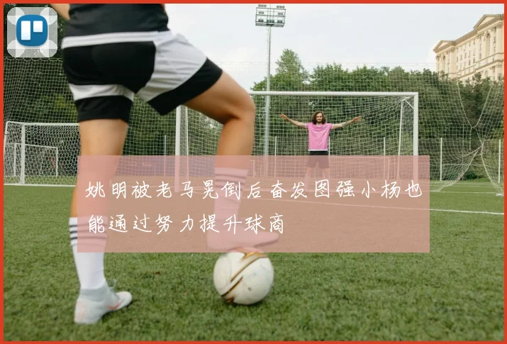 姚明被老马晃倒后奋发图强小杨也能通过努力提升球商