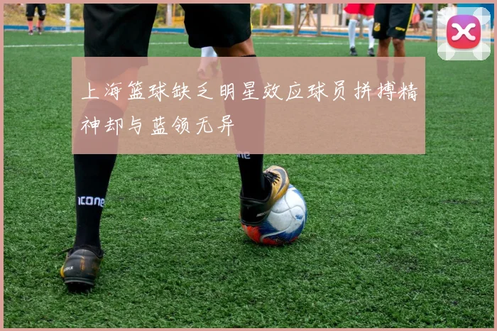 上海篮球缺乏明星效应球员拼搏精神却与蓝领无异
